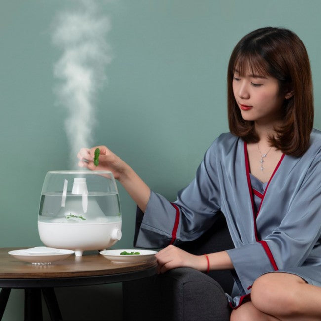 Увлажнитель воздуха Baseus Surge 2.4L desktop humidifie White