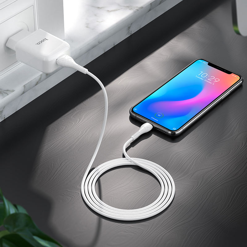 Мережевий зарядний пристрій Hoco N2 (комплект з кабелем Lightning, для iPhone) 1USB, 2,1A Білий