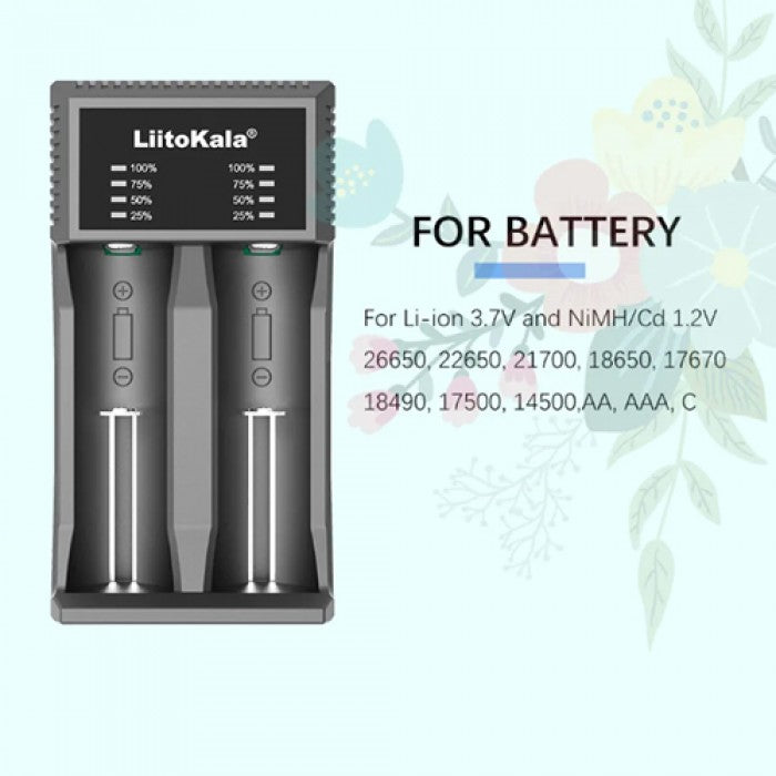 Зарядний LiitoKala Lii-C2 USB-C 2 канали 2А